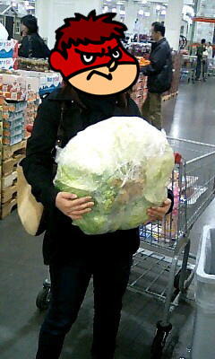 23008798_445982483_1large